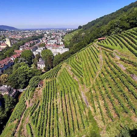 Citynahes Apartment Fuer Die Ganze Familie Oder Gruppen In Ruhiger Lage Freiburg im Breisgau Exterior photo
