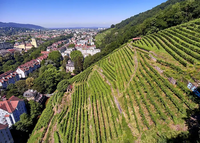 Citynahes Apartment Fuer Die Ganze Familie Oder Gruppen In Ruhiger Lage