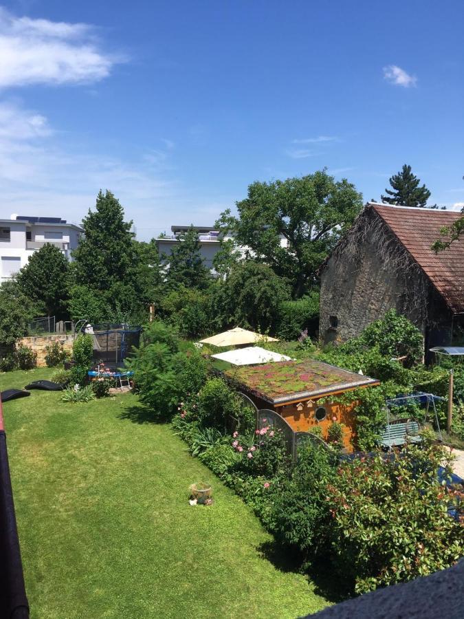 Citynahes Fuer Ganze Familie Oder Gruppen In Ruhiger Lage Apartment *